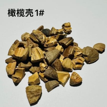 Olive Shell Abrasive – polishing consumable by Guangu Tech India